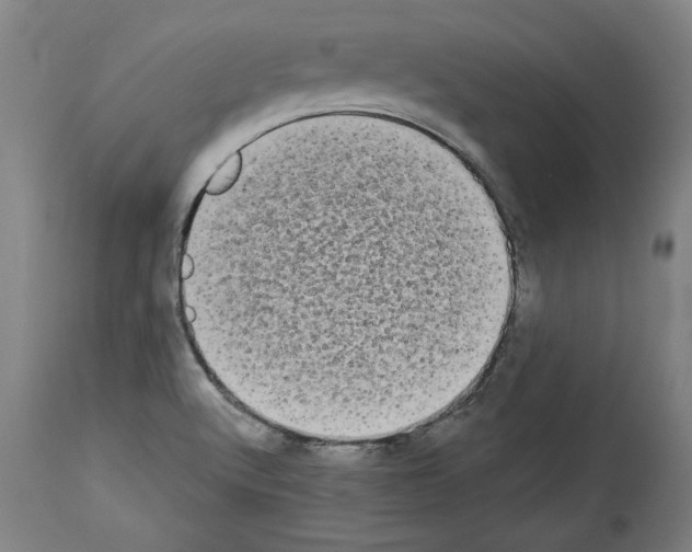 X0000113981512200911131043