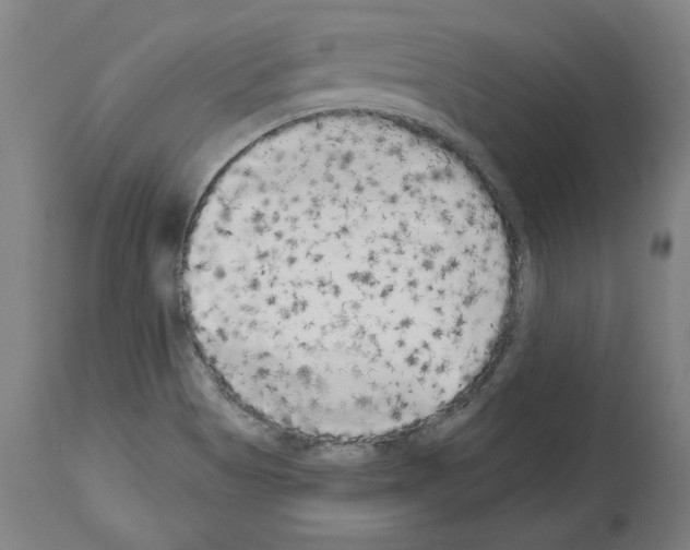 X0000113981513200911131043