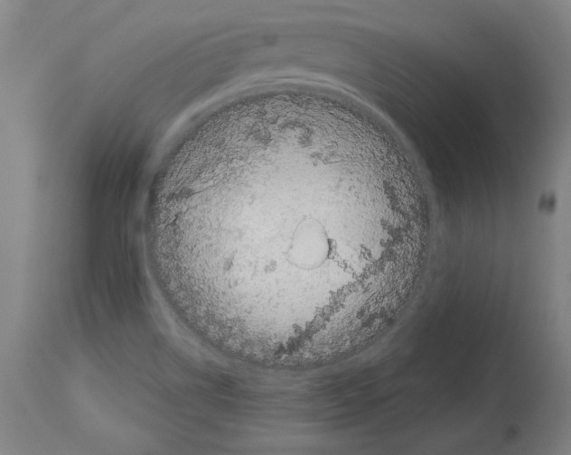 X0000113981514200911131043