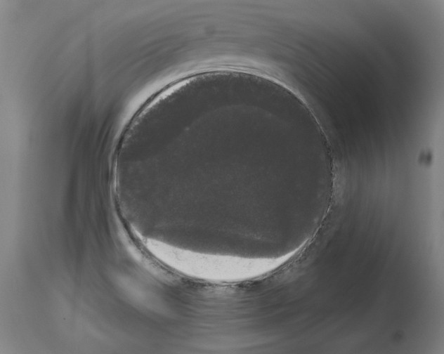 X0000113981515200911131043