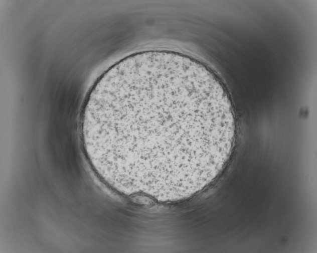 X0000113981517200911131043