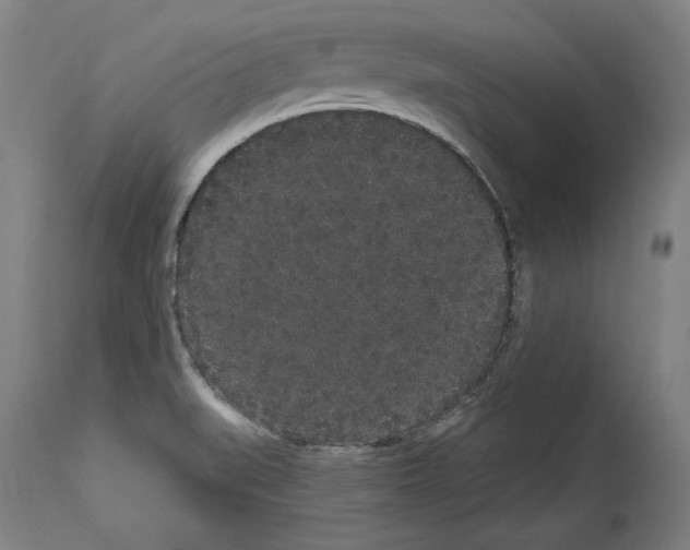 X0000113981519200911131043