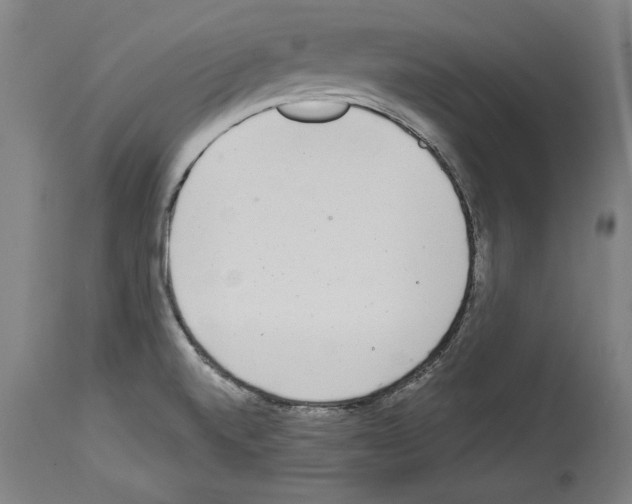 X0000113981520200911131043