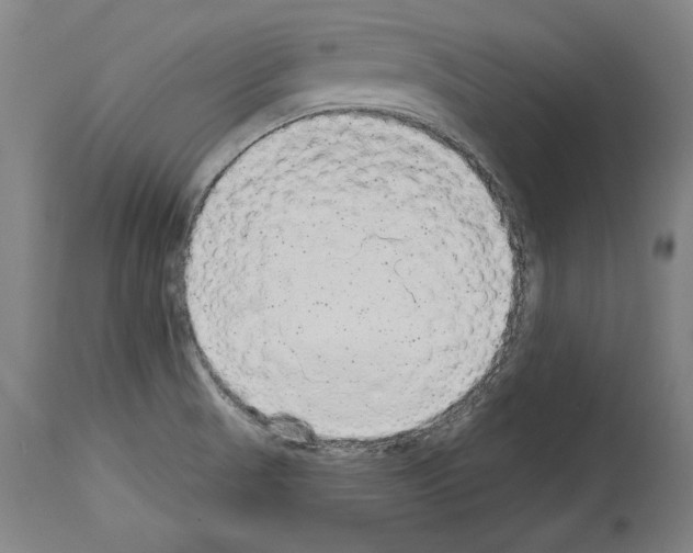 X0000113981521200911131043