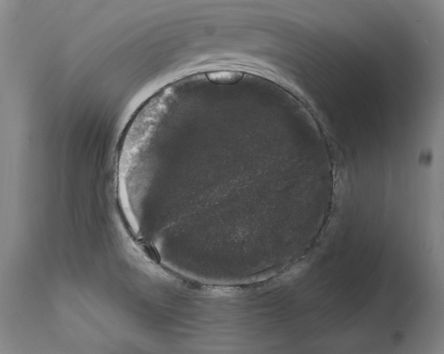 X0000113981522200911131043