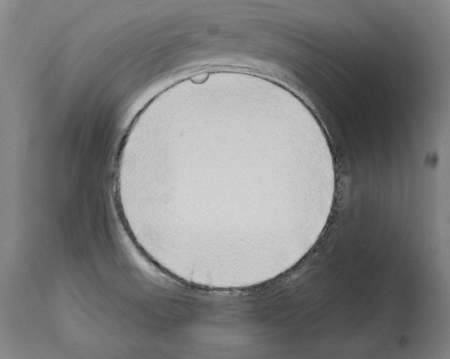 X0000113981523200911131043