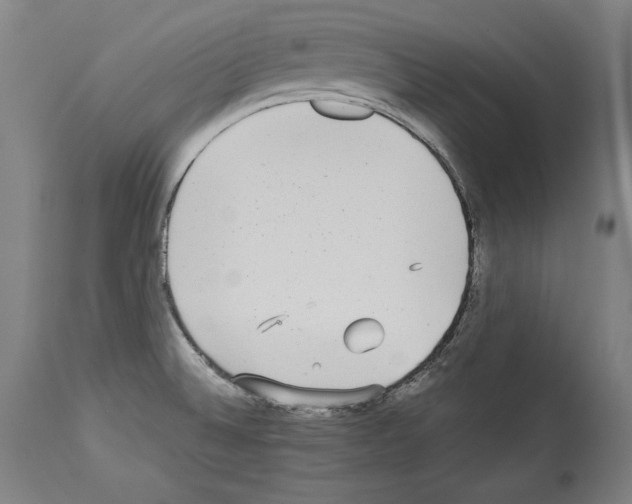 X0000113981524200911131043