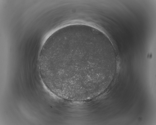 X0000113981527200911131043