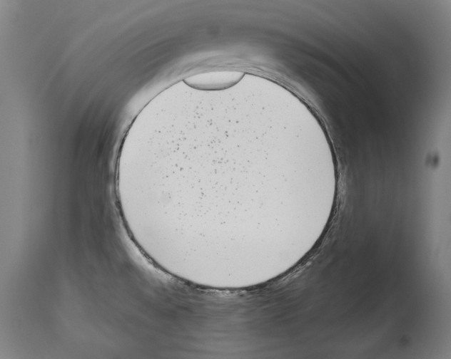 X0000113981528200911131043