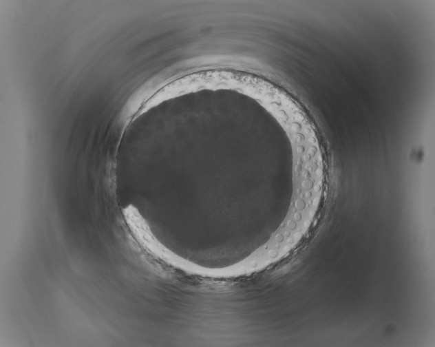 X0000113981529200911131043
