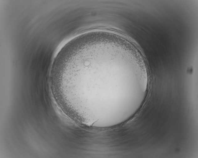 X0000113981530200911131043