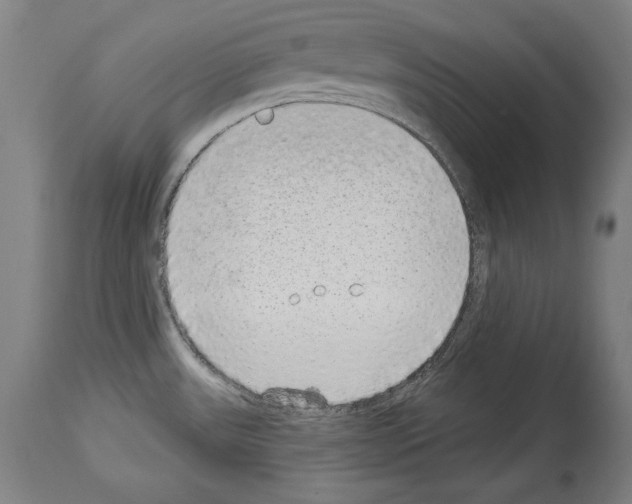 X0000113981531200911131043
