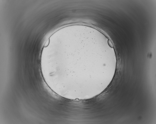 X0000113981532200911131043