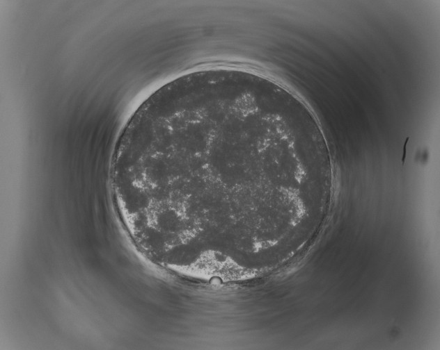 X0000113981533200911131043