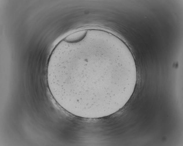X0000113981534200911131043