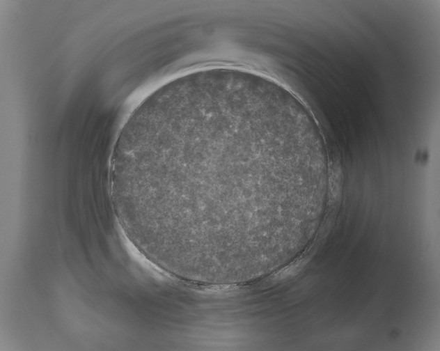 X0000113981535200911131043