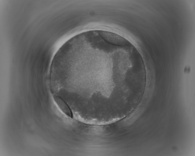 X0000113981536200911131043