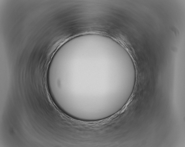 X0000113990001200910021019