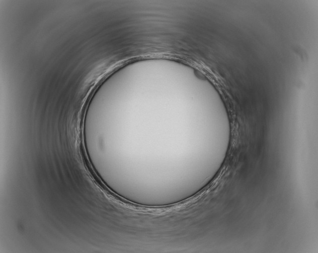 X0000113990002200910021019