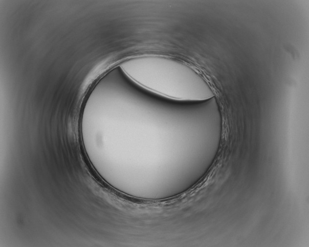 X0000113990004200910021019
