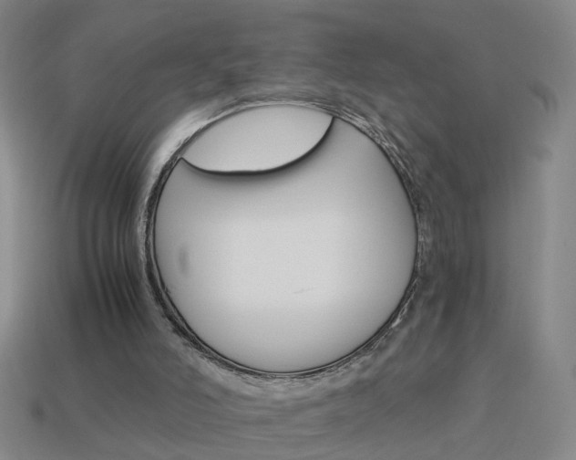 X0000113990006200910021019