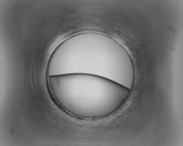 X0000113990007200910021019