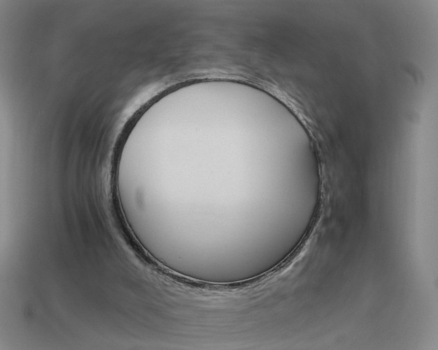 X0000113990008200910021019