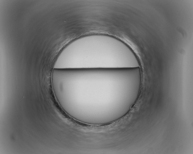 X0000113990009200910021019