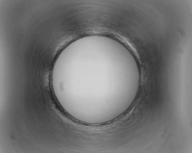 X0000113990010200910021019