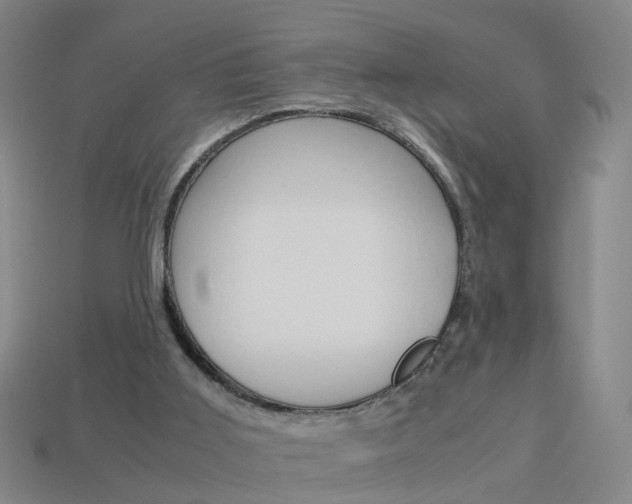 X0000113990011200910021019