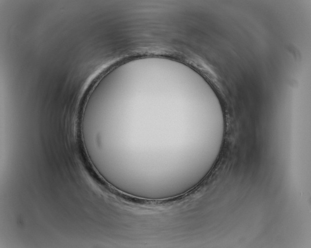 X0000113990012200910021019