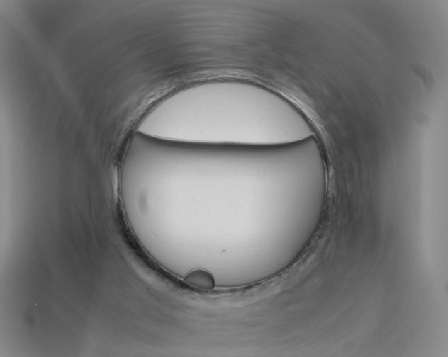 X0000113990013200910021019