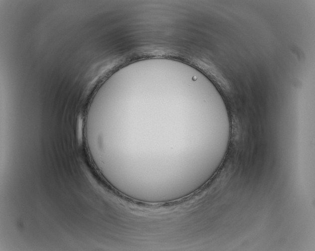 X0000113990014200910021019