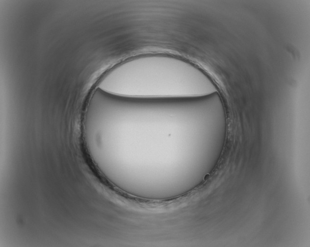 X0000113990015200910021019