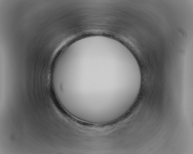 X0000113990016200910021019