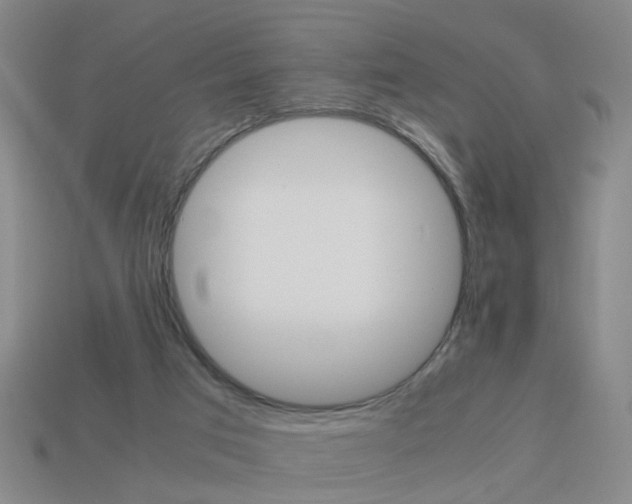 X0000113990017200910021019