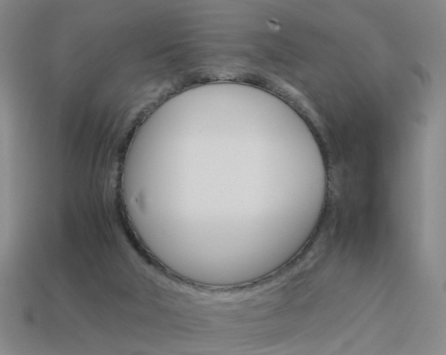 X0000113990018200910021019