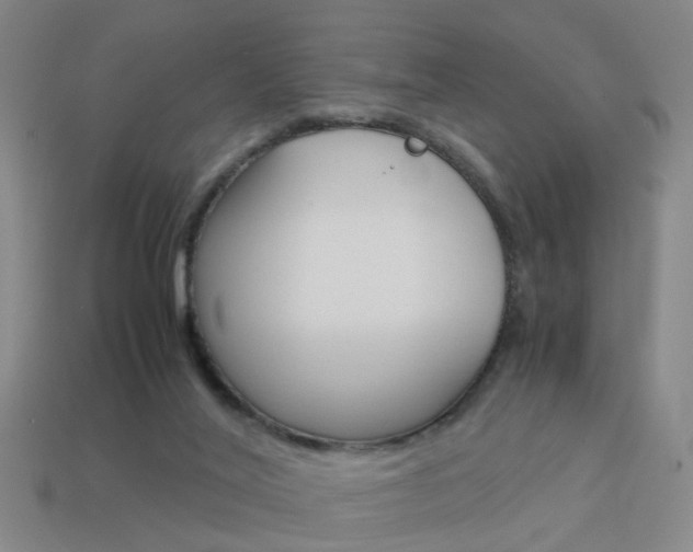 X0000113990020200910021019