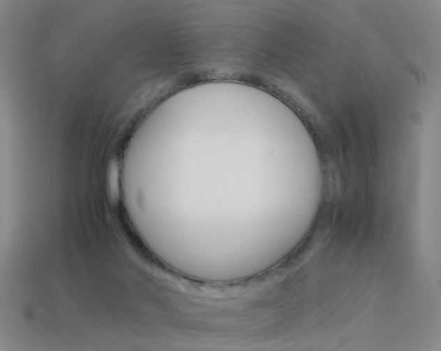 X0000113990022200910021019