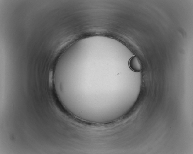 X0000113990024200910021019