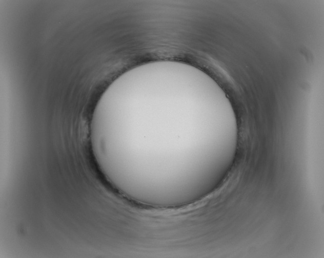 X0000113990025200910021019
