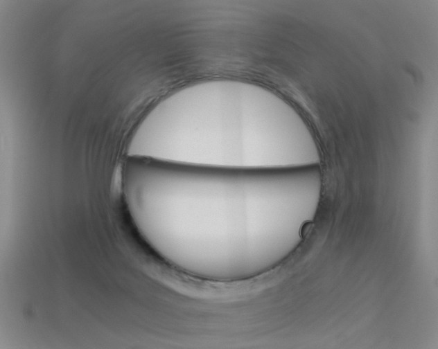 X0000113990027200910021019