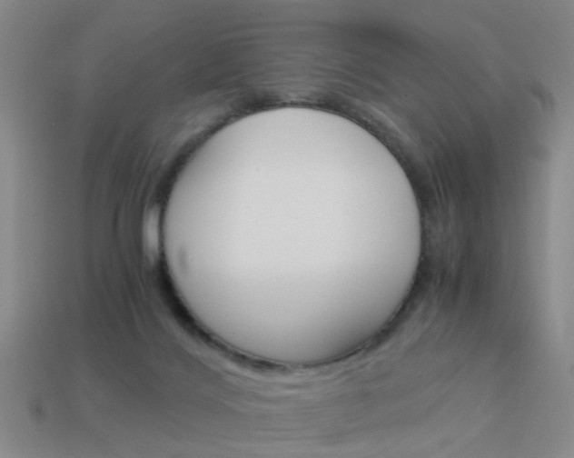 X0000113990028200910021019