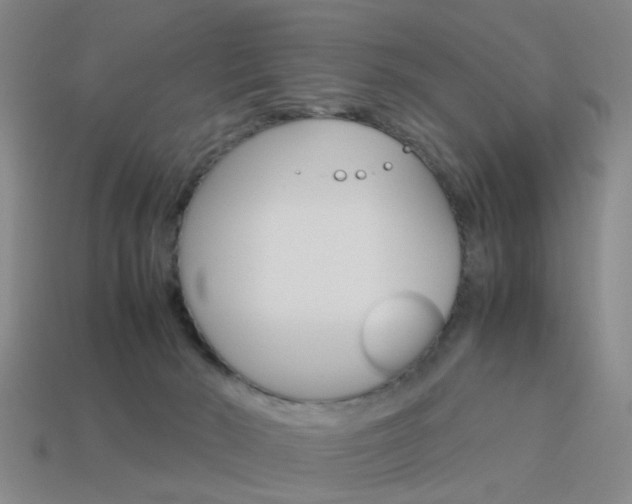 X0000113990030200910021019