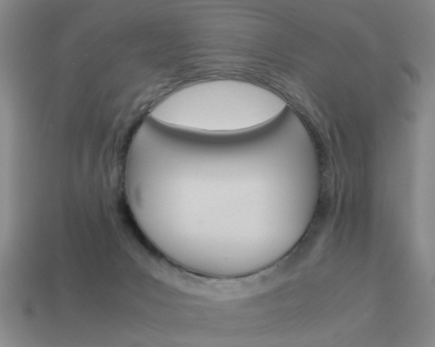 X0000113990031200910021019