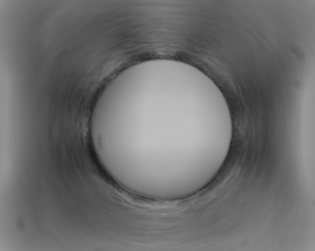 X0000113990032200910021019