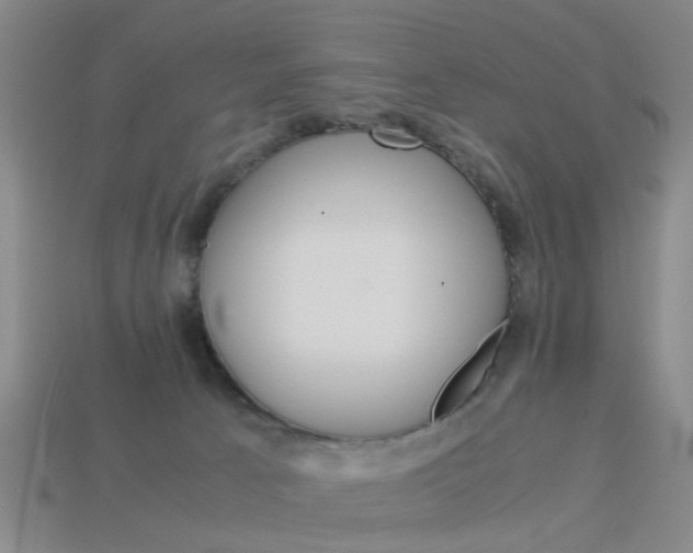 X0000113990033200910021019