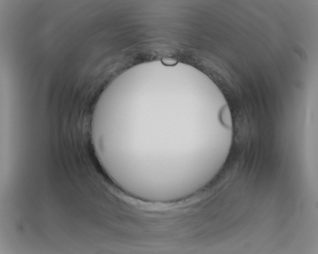 X0000113990034200910021019