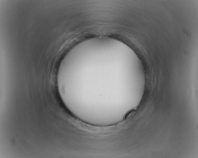 X0000113990035200910021019