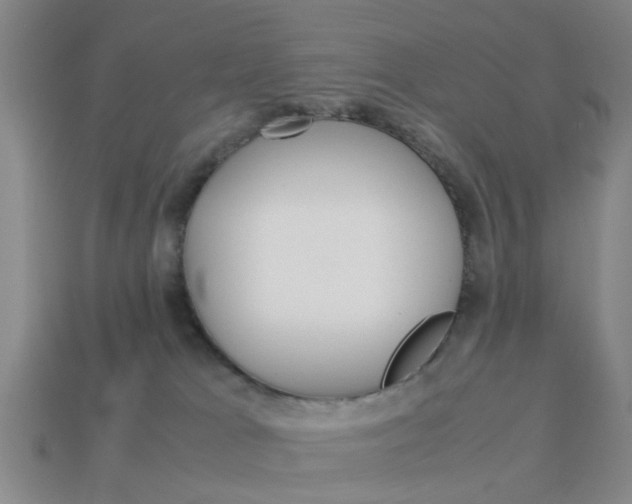X0000113990037200910021019